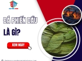 Đá phiến dầu là gì?