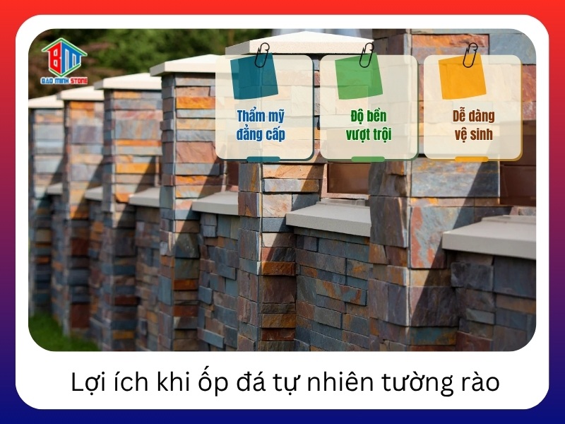 Loi ich khi op da tu nhien cho tuong rao