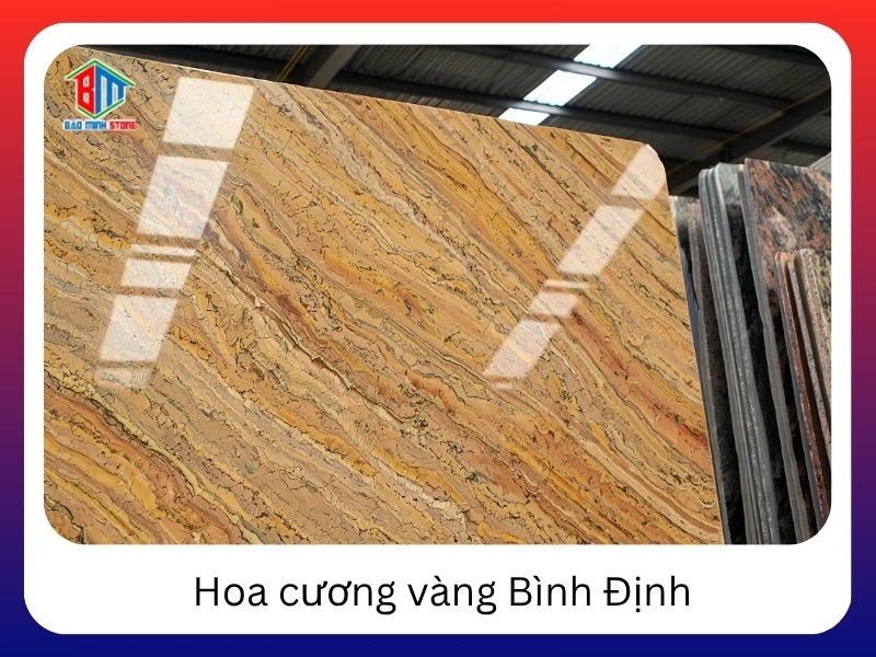 Hoa cuong vang Binh Dinh